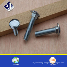 Stainless Steel DIN603 Coach Bolt for Track